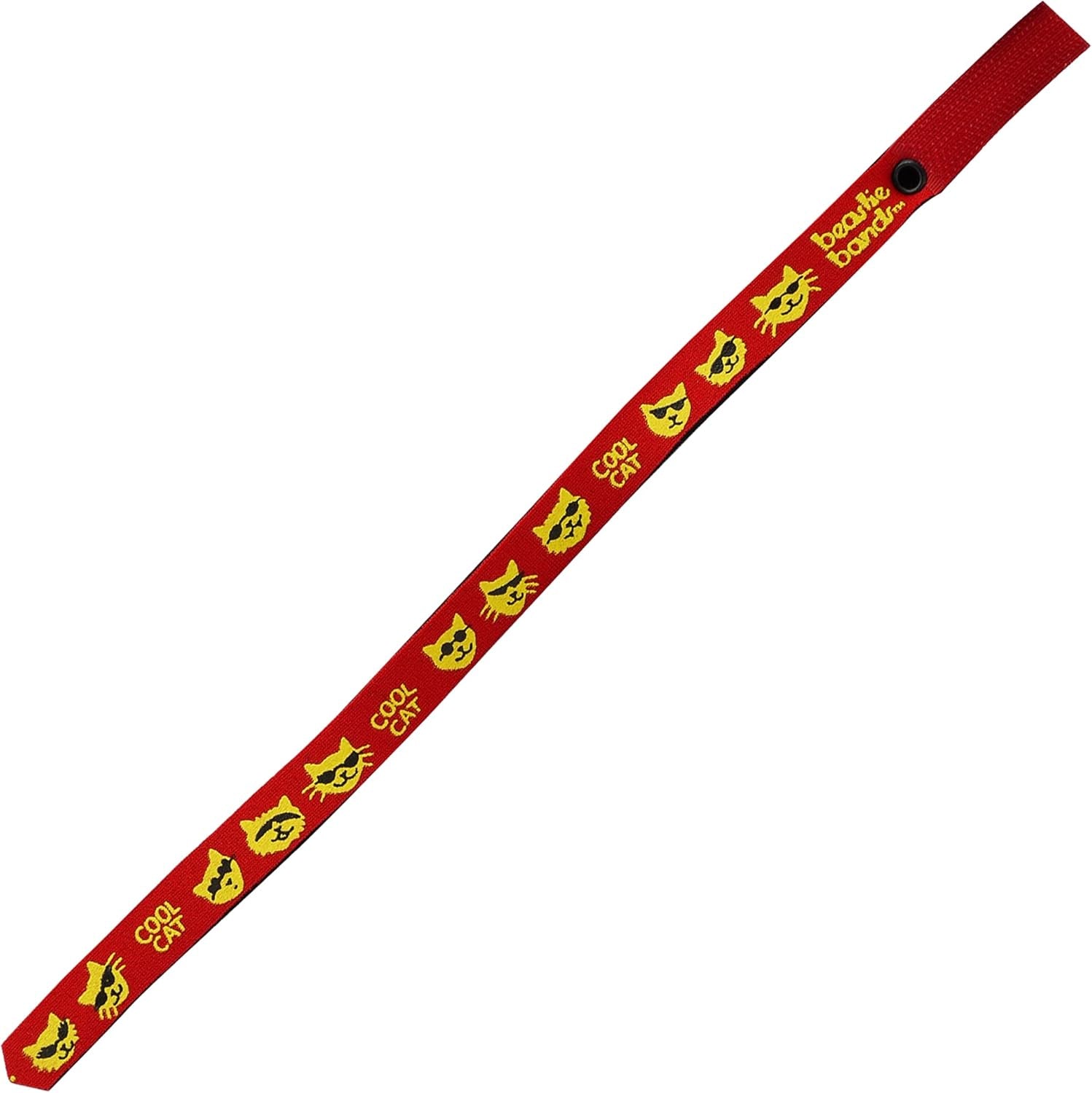 Cat Collar - Cool Cat