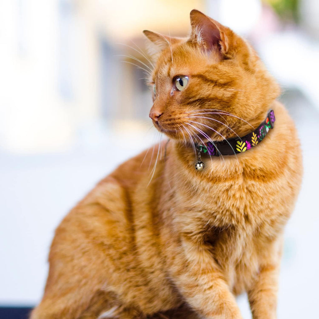 Cat Collar with Removable Bell Floral Pattern 2 Pack Set Flower Adjustable Safety Breakaway Collars for Cats Kitten