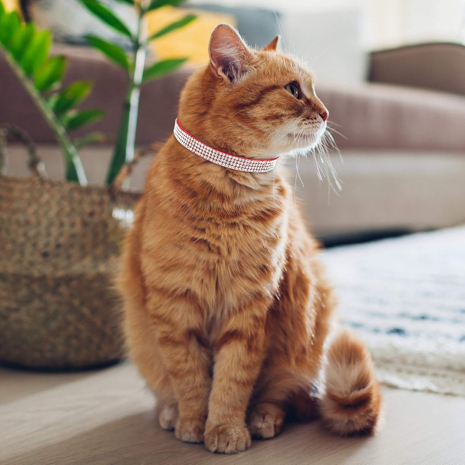 4 Pcs Rhinestone Cat Collar Heart Bling Breakaway Girl Cat Soft Velvet Fancy Adjustable Safety Kitten Collar with Bell for Kitty(Red, Black)