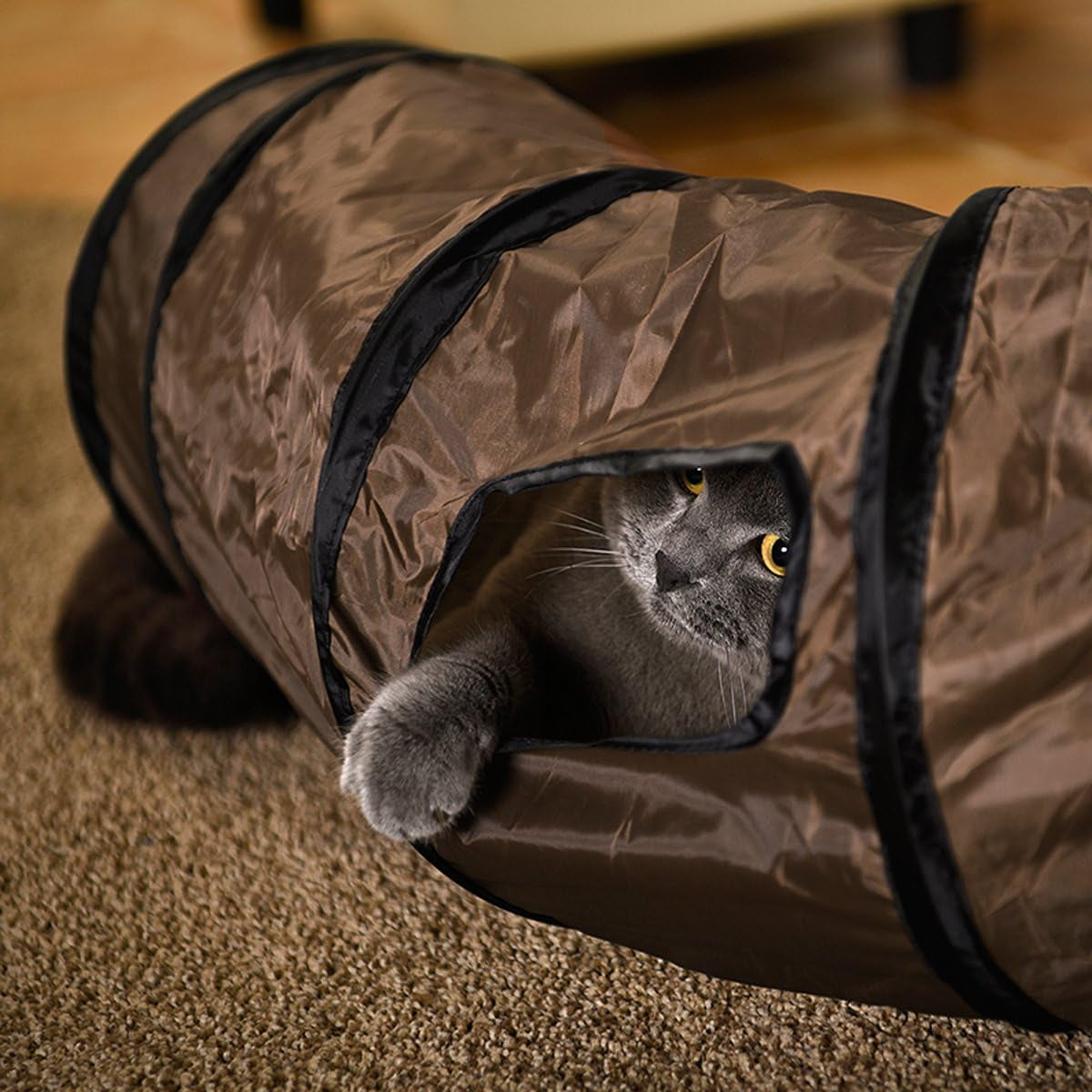 Cat Toys Interactive, Collapsible Tunnel for Bunnies, Kittens, Ferrets and Small Dogs with Two Peek-A-Boo Holes Blue