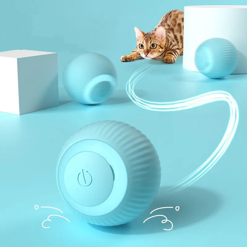 Cat Interactive Ball Smart Cat Toys - Indoor 