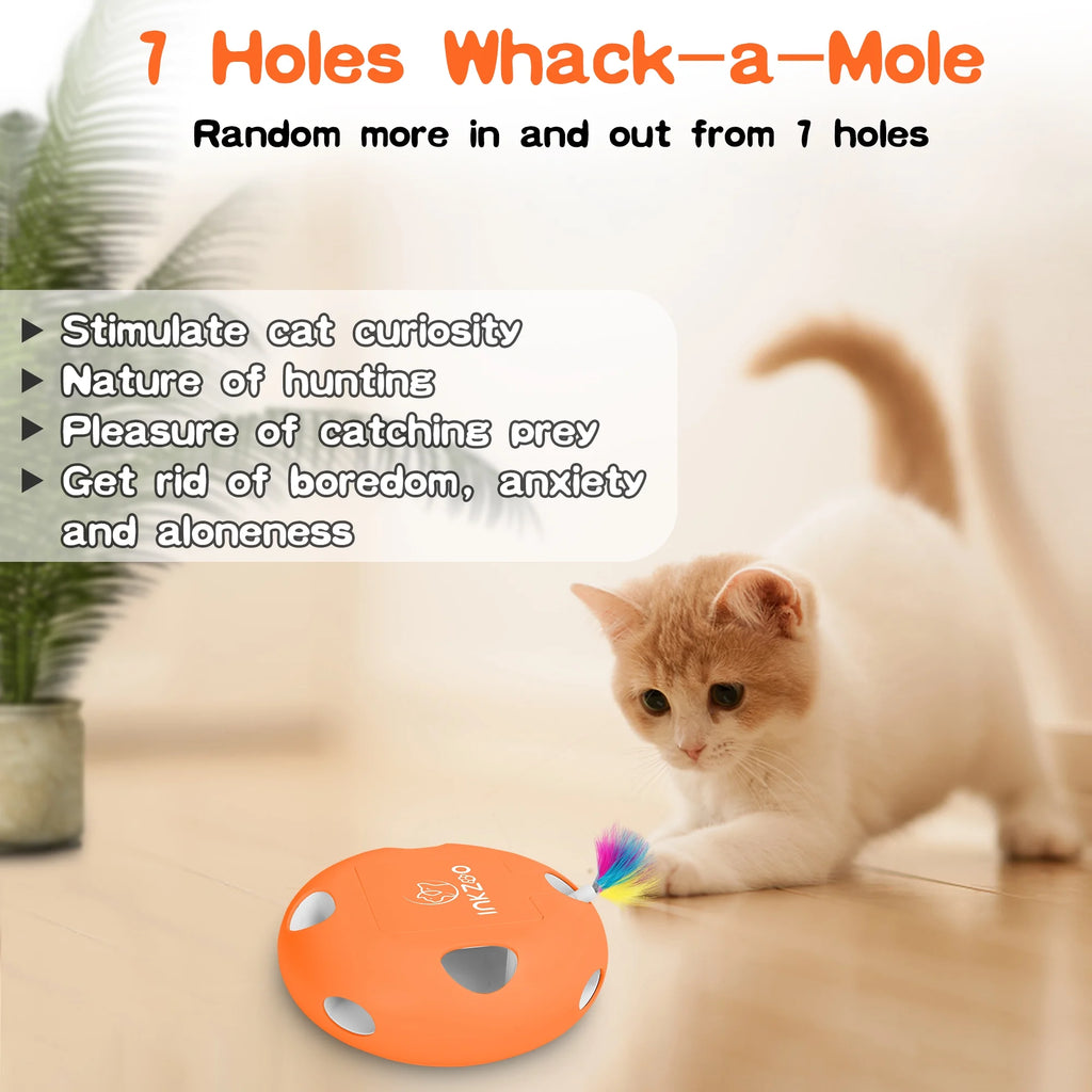 Interactive Cat Toys for Indoor Cats - Exercise Play Kitten Toy with USB Rechargeable