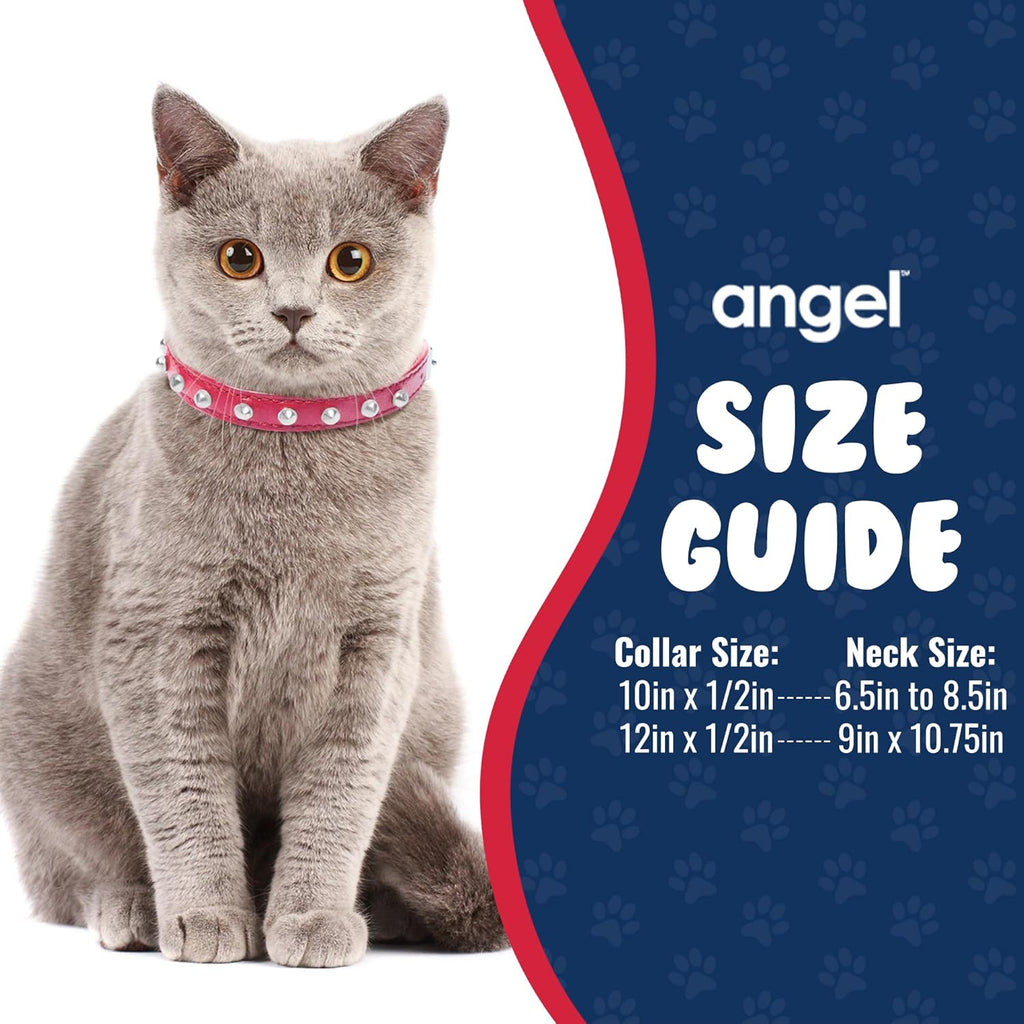 Studded Cat Collar - Genuine Leather Kitten Collar