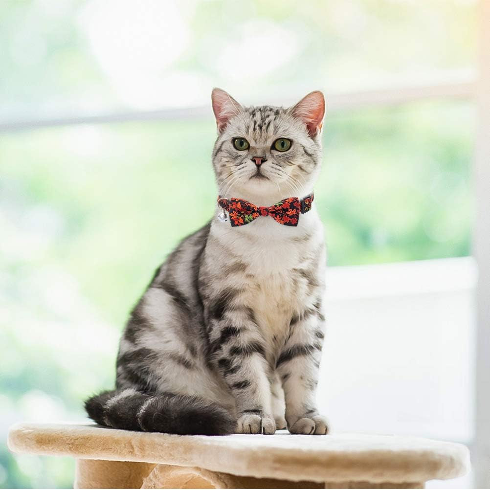 Thanksgiving Cat Collar Bowtie - 2 Pack Cute Floral Fall Pattern Pet Breakaway Collars with Clear Bell for Cats Puppies Kittens, Maple Leaves & Pumpkin, Summer and Autumn