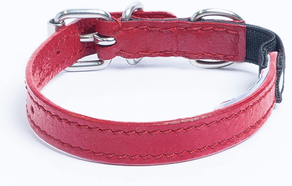 Leather Cat Collar W Safety Elastic Stretch, 12" X1/2", Red, 100% Genuine Leather (Alpine) Light Weight, Riveted Settings, for Neck Size:8.75"-10.75"