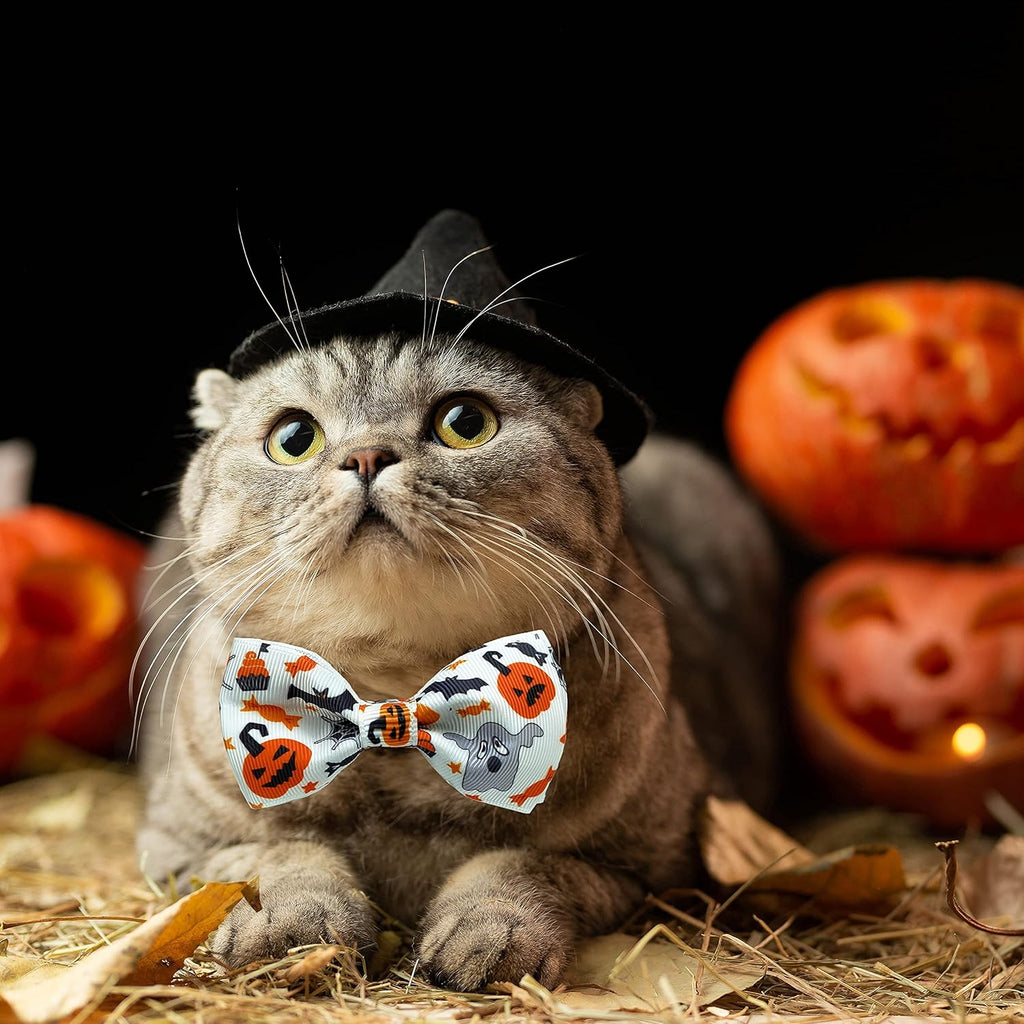 Halloween Cat Collar with Bell - Kitty Kitten Holiday Bow Tie