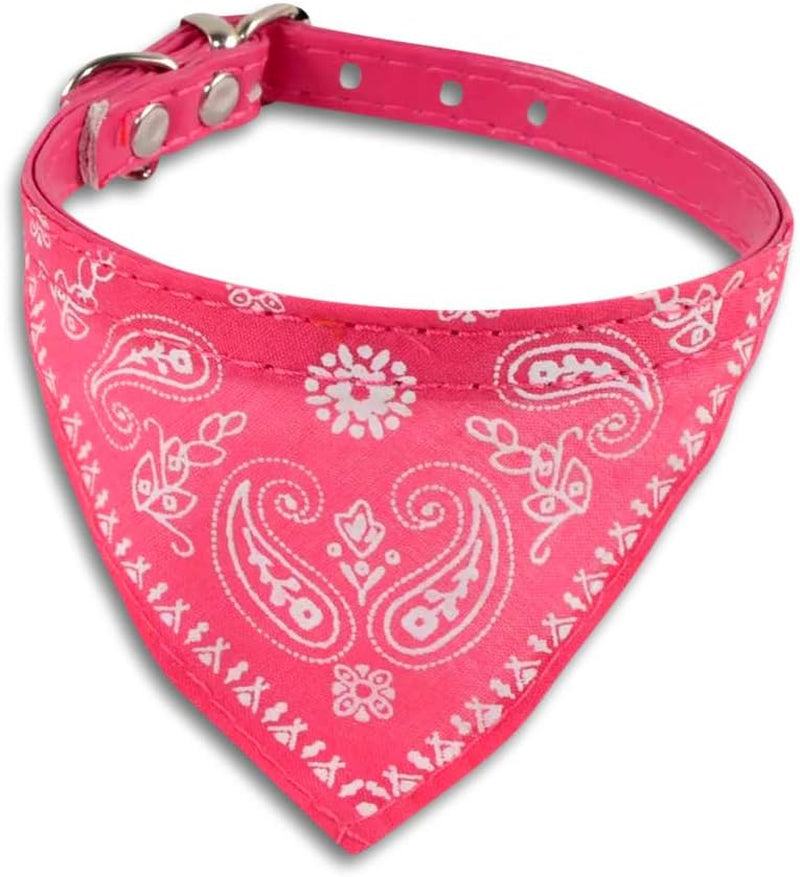 Dog Collar for Small Dogs (Pink)
