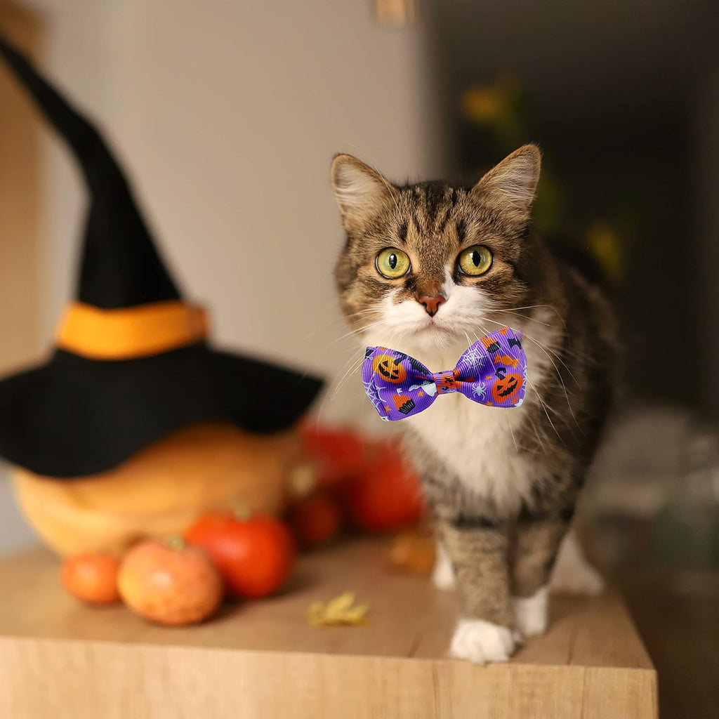 Halloween Cat Collar with Bell - Kitty Kitten Holiday Bow Tie