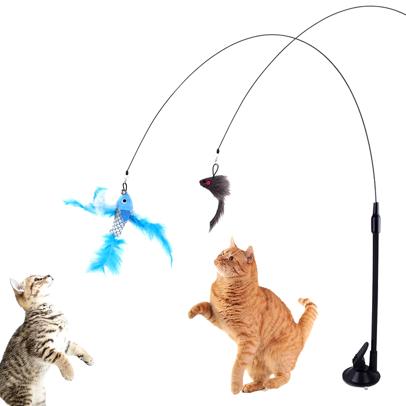 Simulation Bird Interactive Sucker Feather Bird
