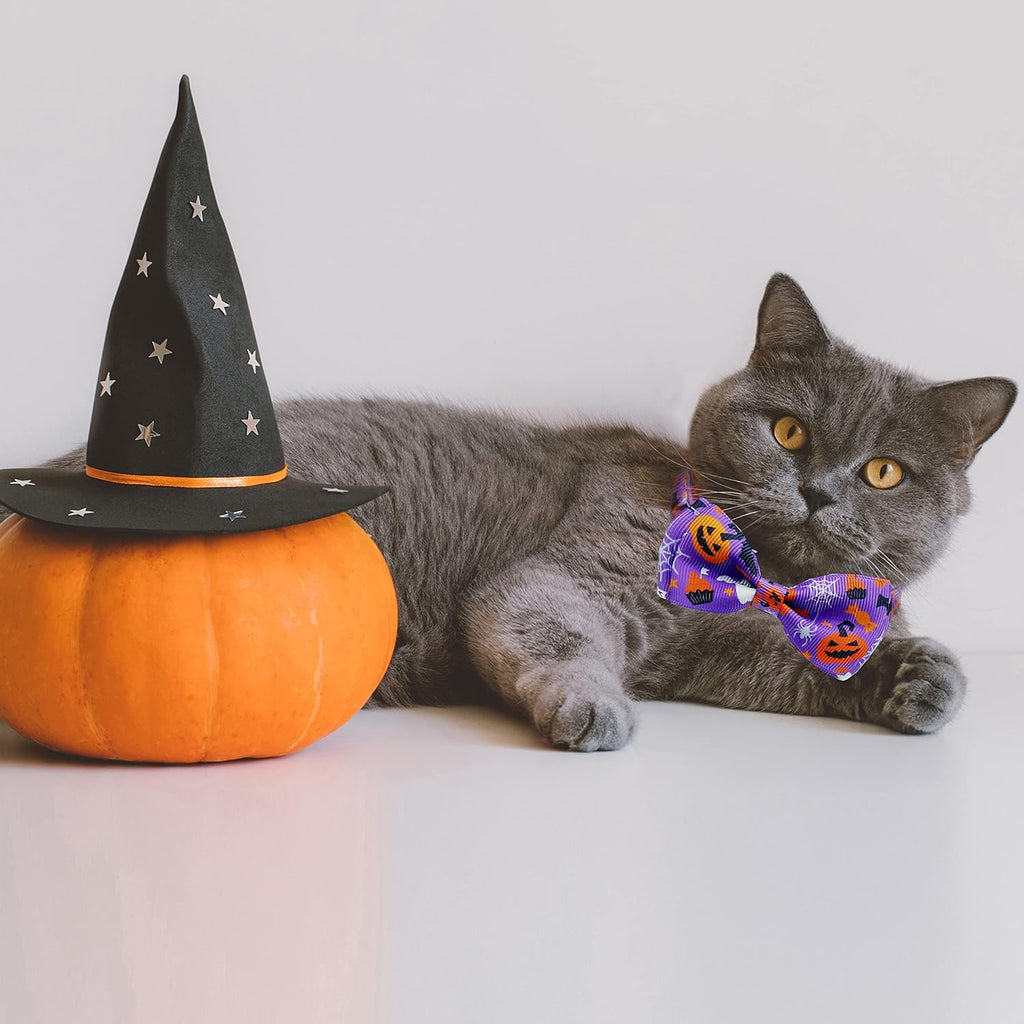 Halloween Cat Collar with Bell - Kitty Kitten Holiday Bow Tie