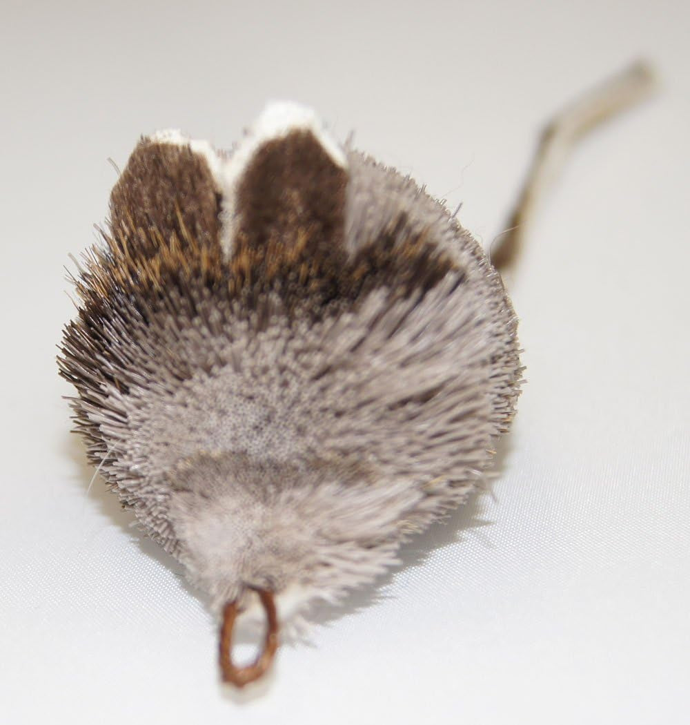 Fun Rat Pack 3 Pack of Mice Mouse Refill/Attachment - Fits Wildcat and Popular Bird and Catcher Type Wands/Poles