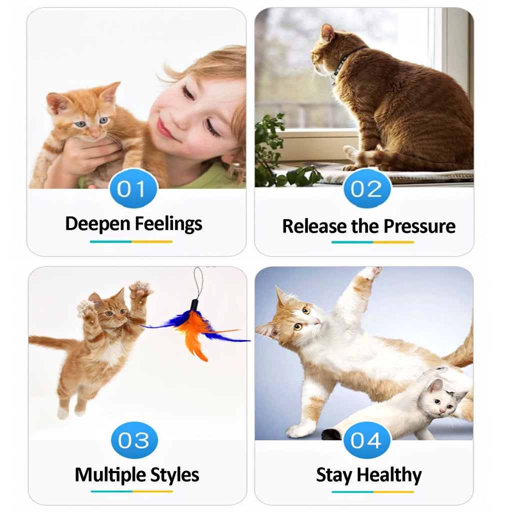 11 PCS Cat Feather Toy - Multiple Styles Feather Refills for Cat Toys