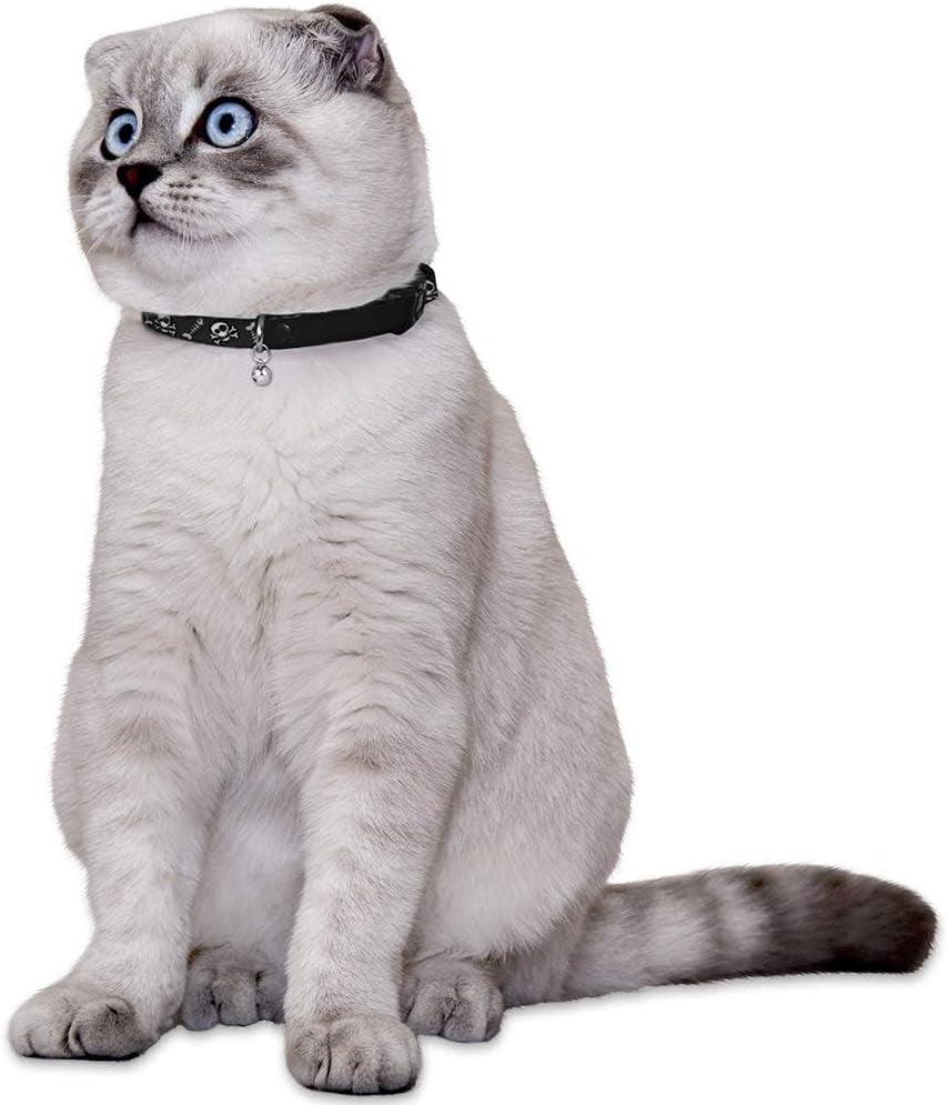 Skull Cat Collar Breakaway with Bell Pack of 2 PCS, Adjustable Kitten Collar for Cats Safety Elastic Strap Black Pink Orange Green Blue Red (Red-Black)