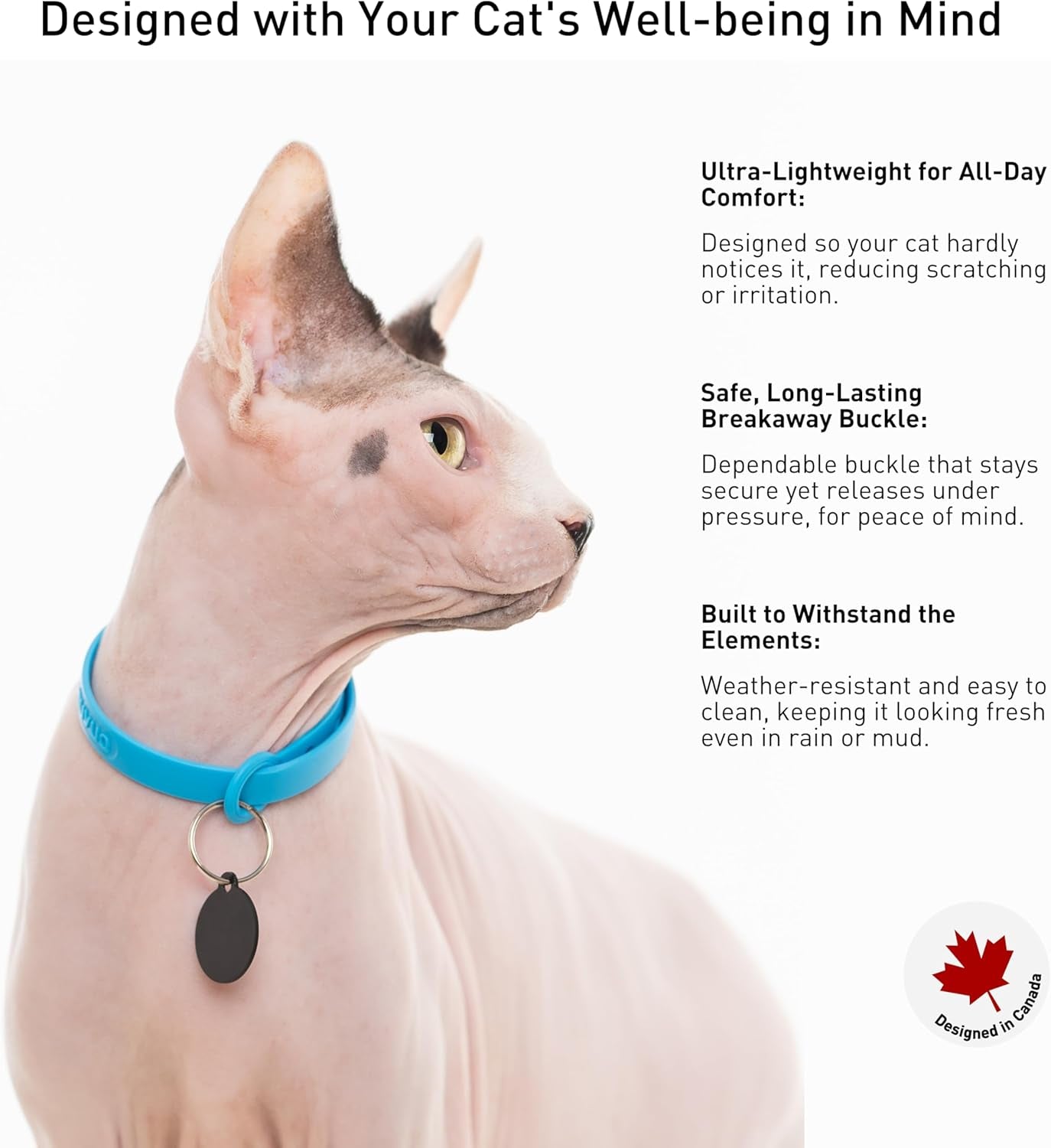 Breakaway Cat Collar - Soft, Comfortable, and Lightweight Safety Buckle Collar with ID Tag Ring for Outdoor Cats and Sensitive Skin Kittens by  (6 ⅞" to 10 ¼", Blue)