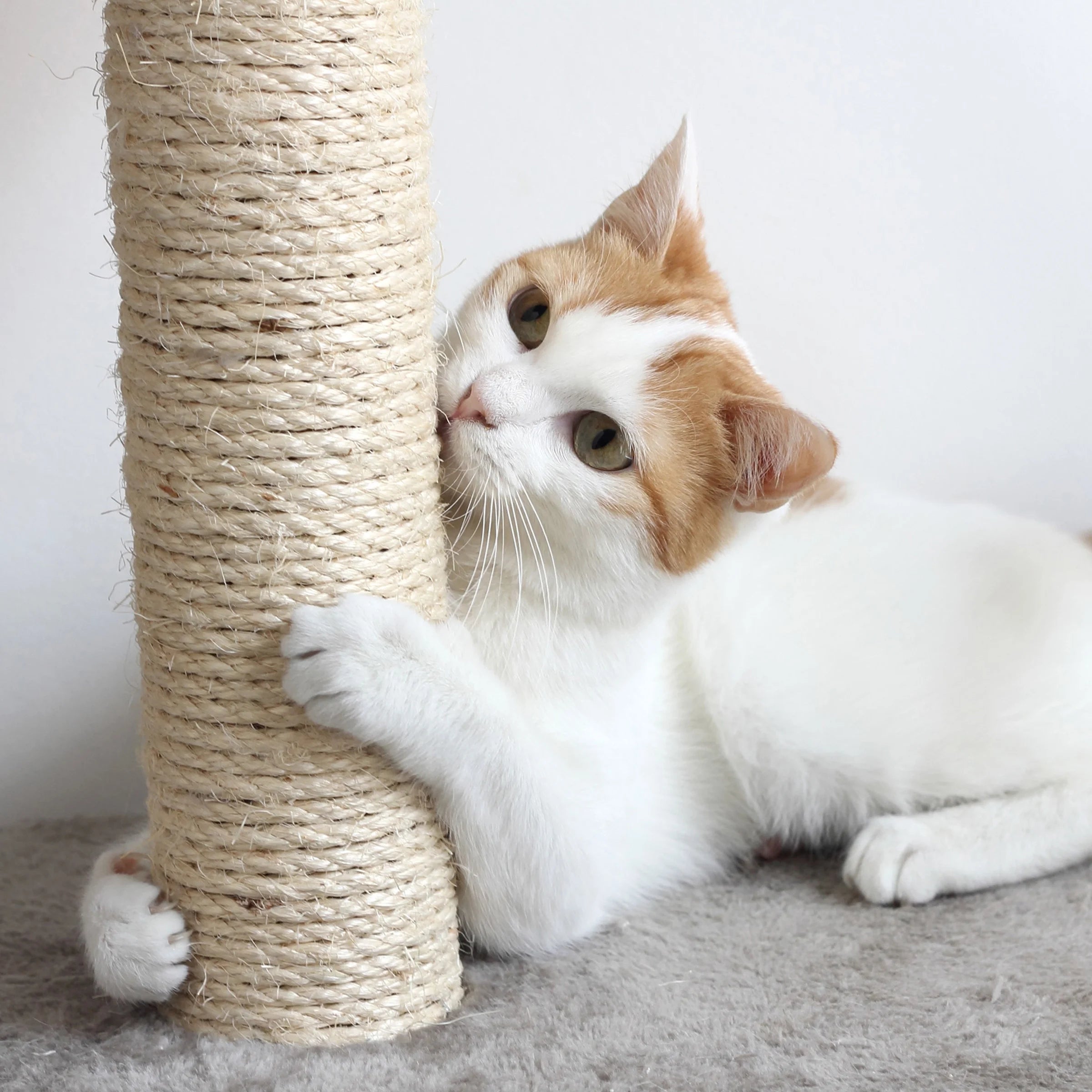 PETMAKER Cat Tree with 2 Perches, Condo, 5 Scratch Posts, and Toy (White)