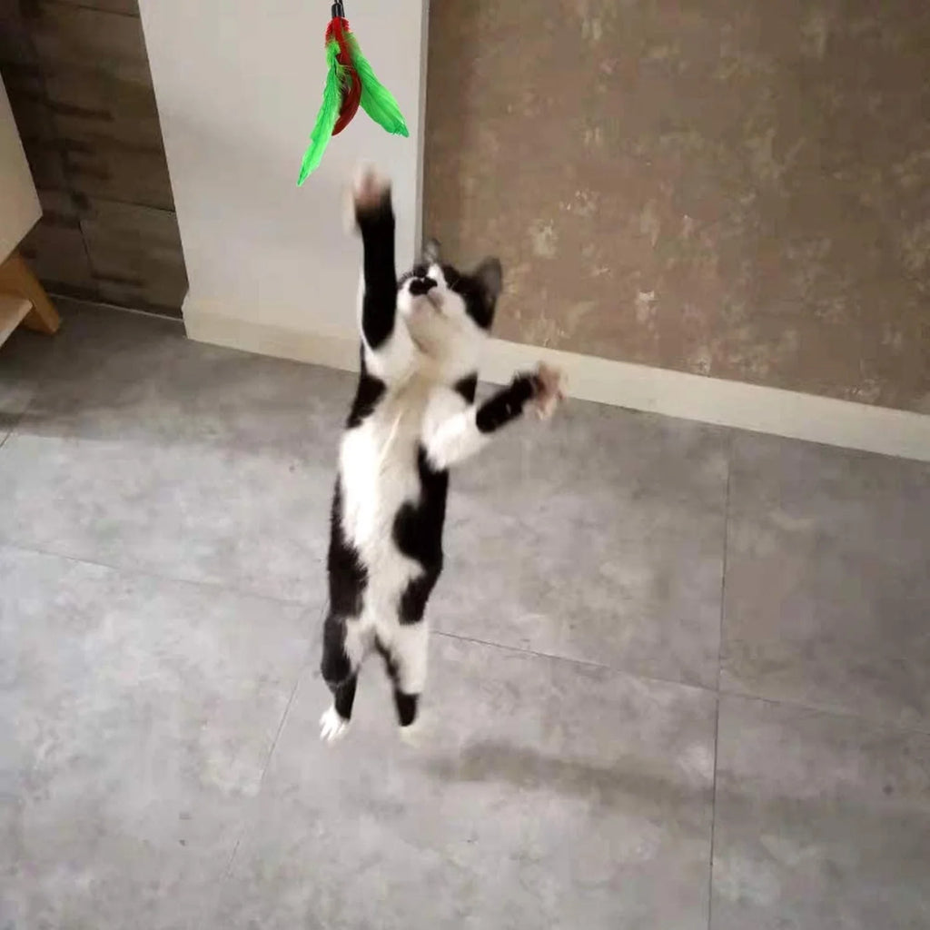 11 PCS Cat Feather Toy - Multiple Styles Feather Refills for Cat Toys