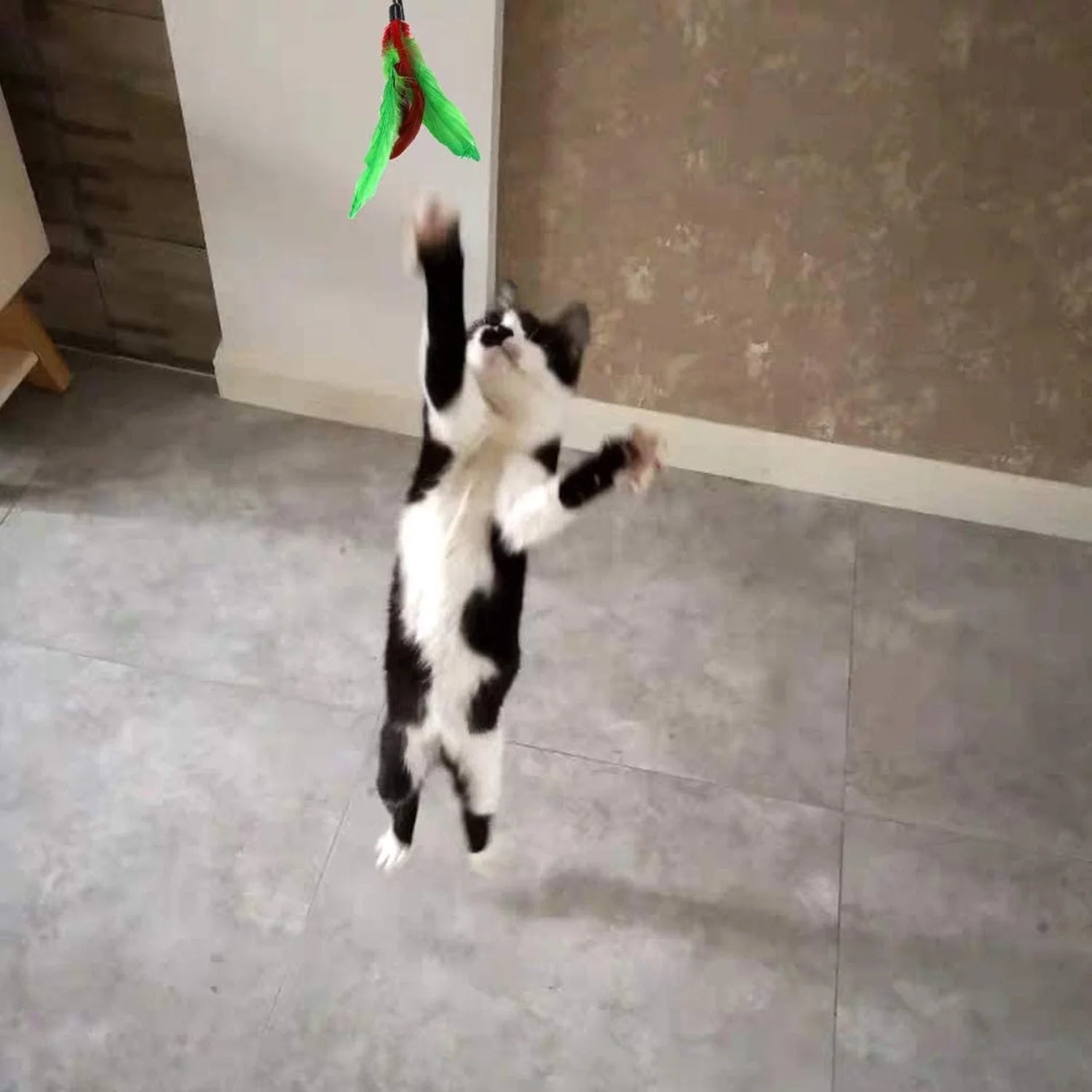 11 PCS Cat Feather Toy - Multiple Styles Feather Refills for Cat Toys
