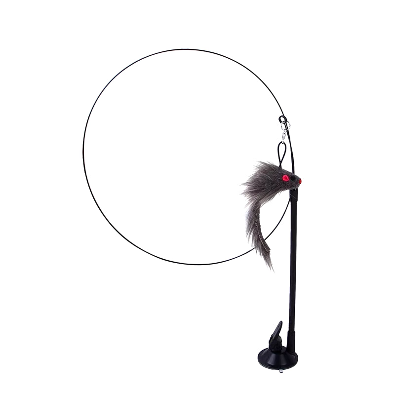 Simulation Bird Interactive Sucker Feather Bird