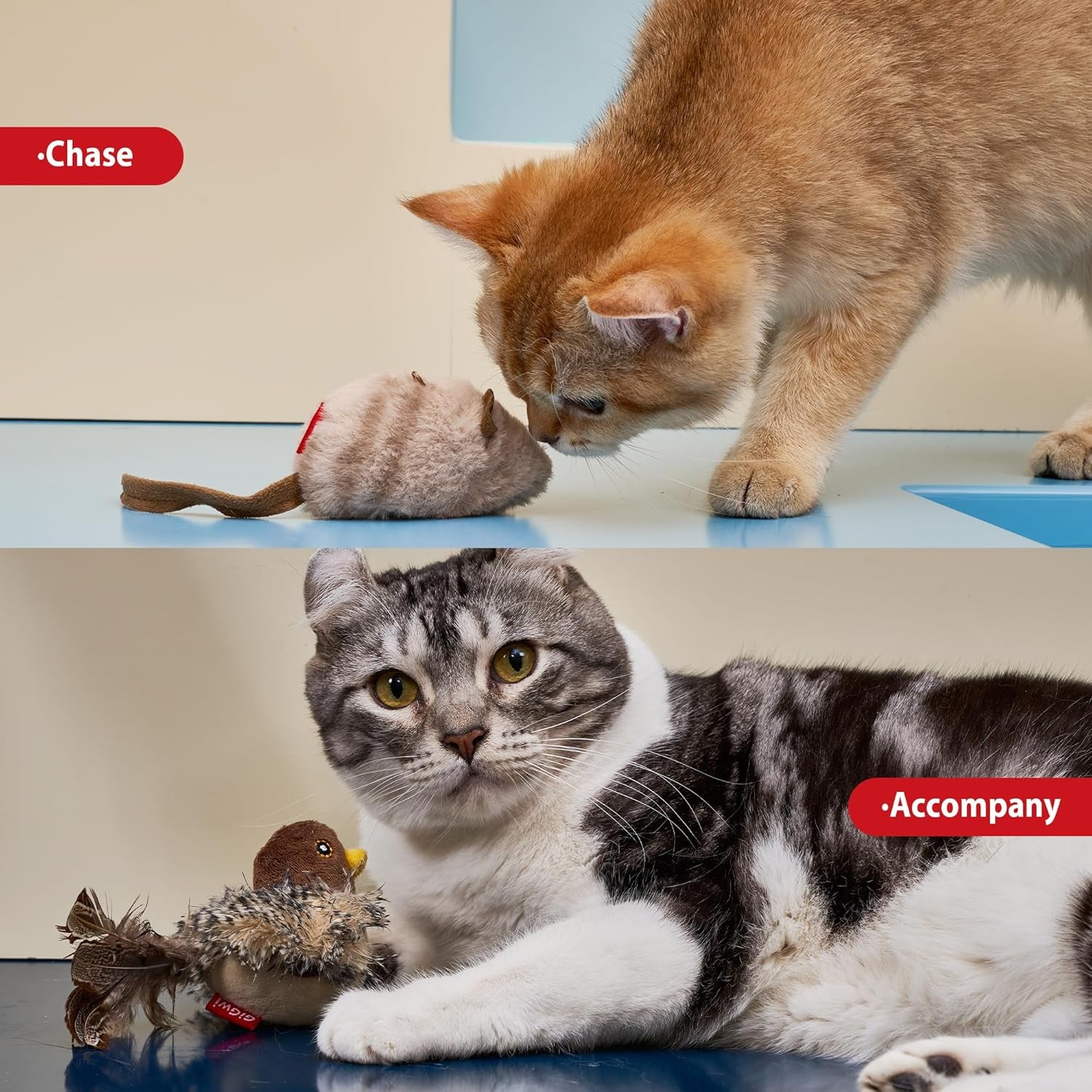 Chirping Bird Cat Toy Set - Interactive Chasing Toy for Indoor Cat