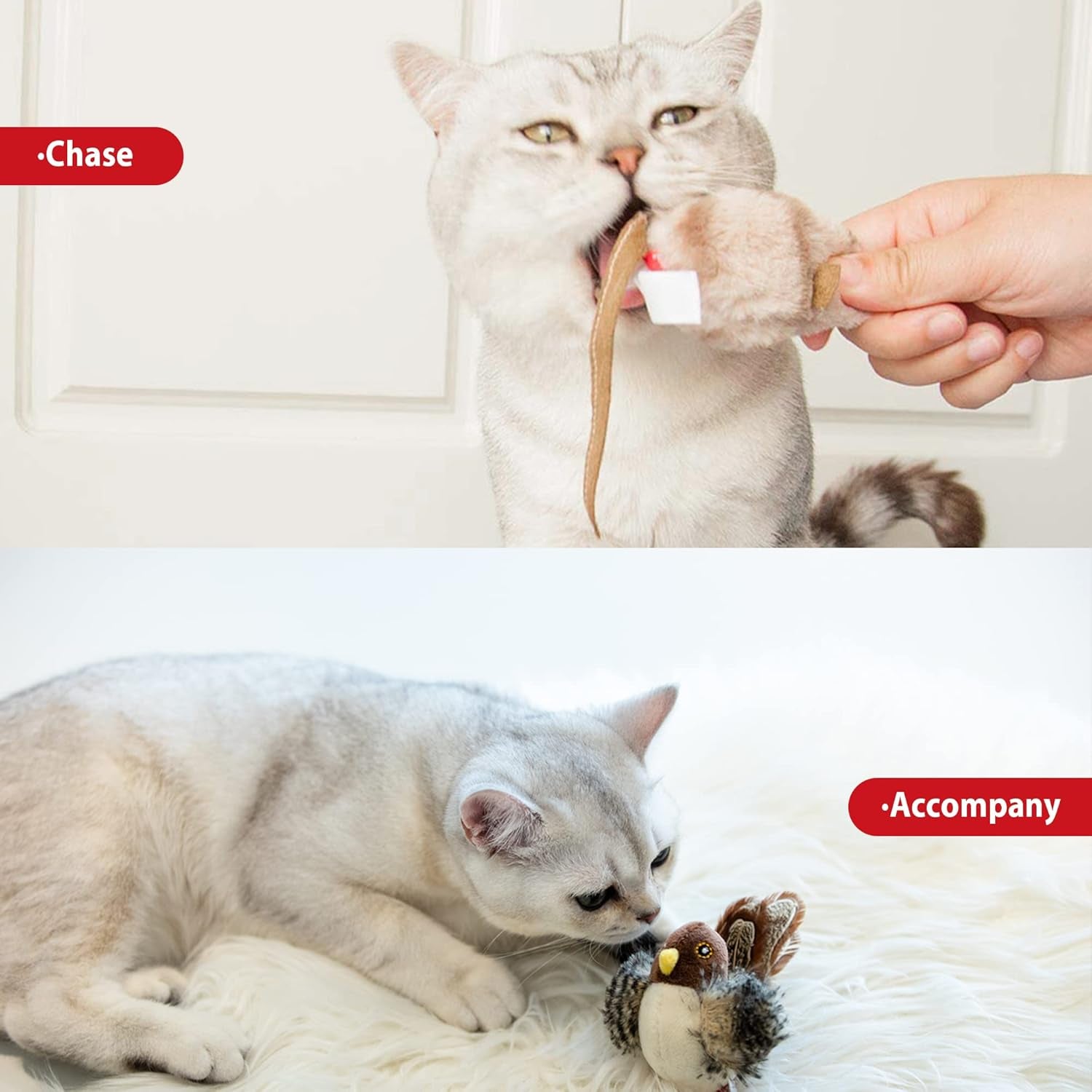 Chirping Bird Cat Toy Set - Interactive Chasing Toy for Indoor Cat