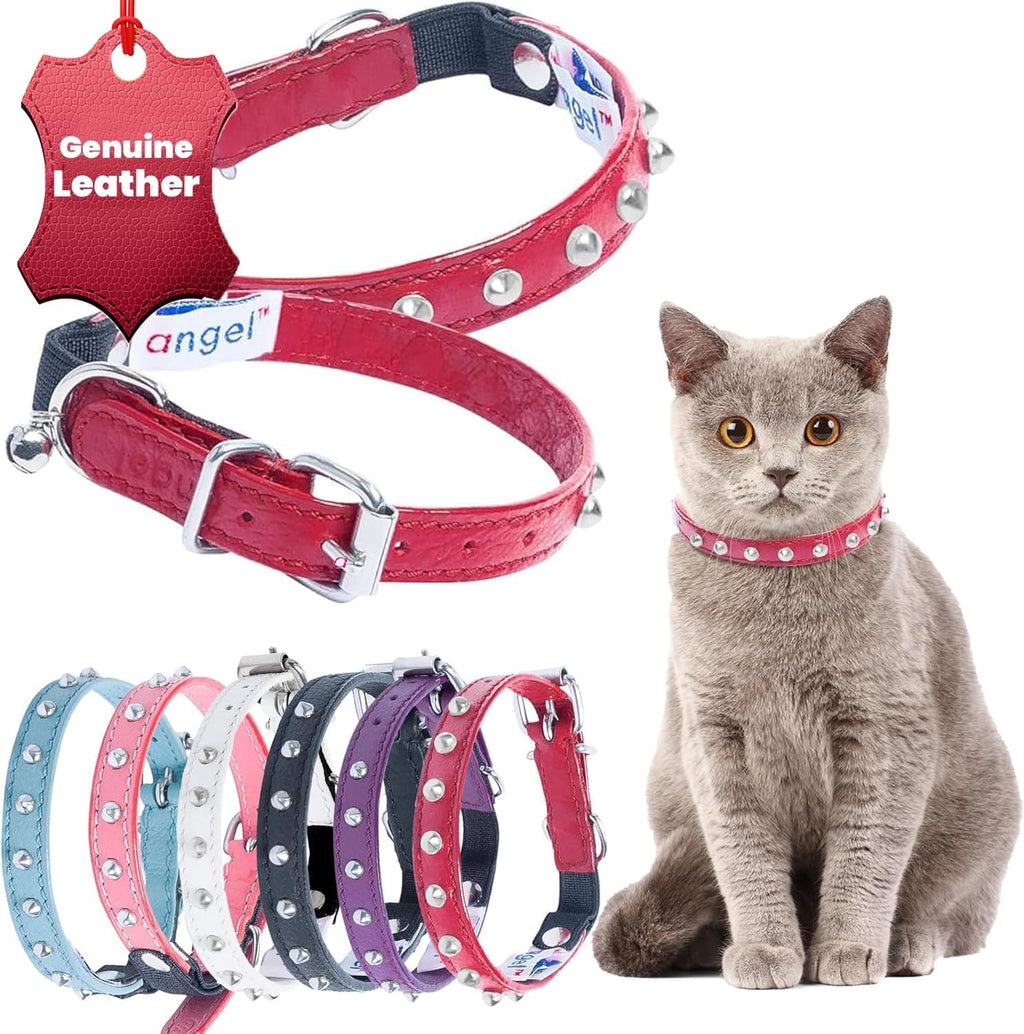 Studded Cat Collar - Genuine Leather Kitten Collar