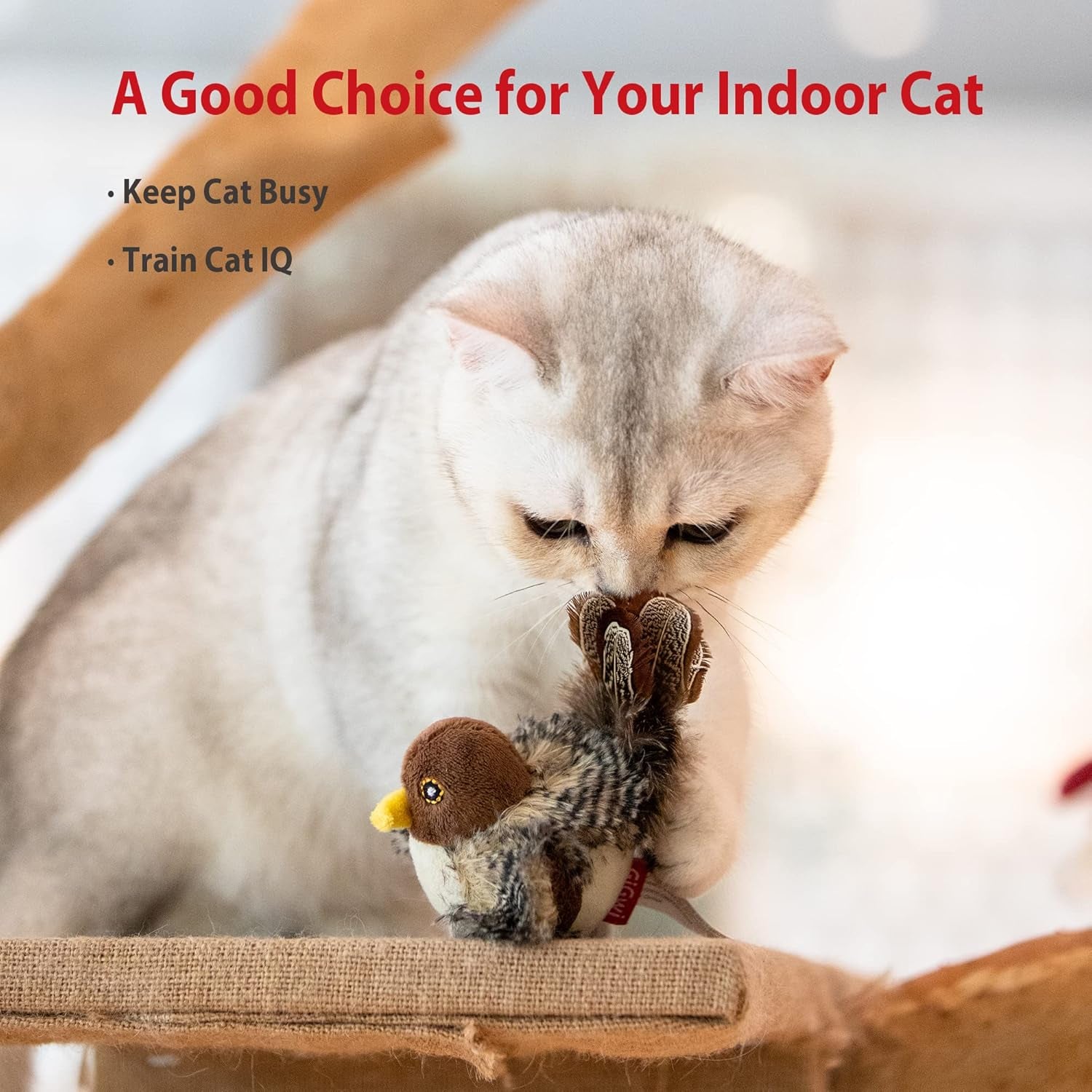 Chirping Bird Cat Toy Set - Interactive Chasing Toy for Indoor Cat