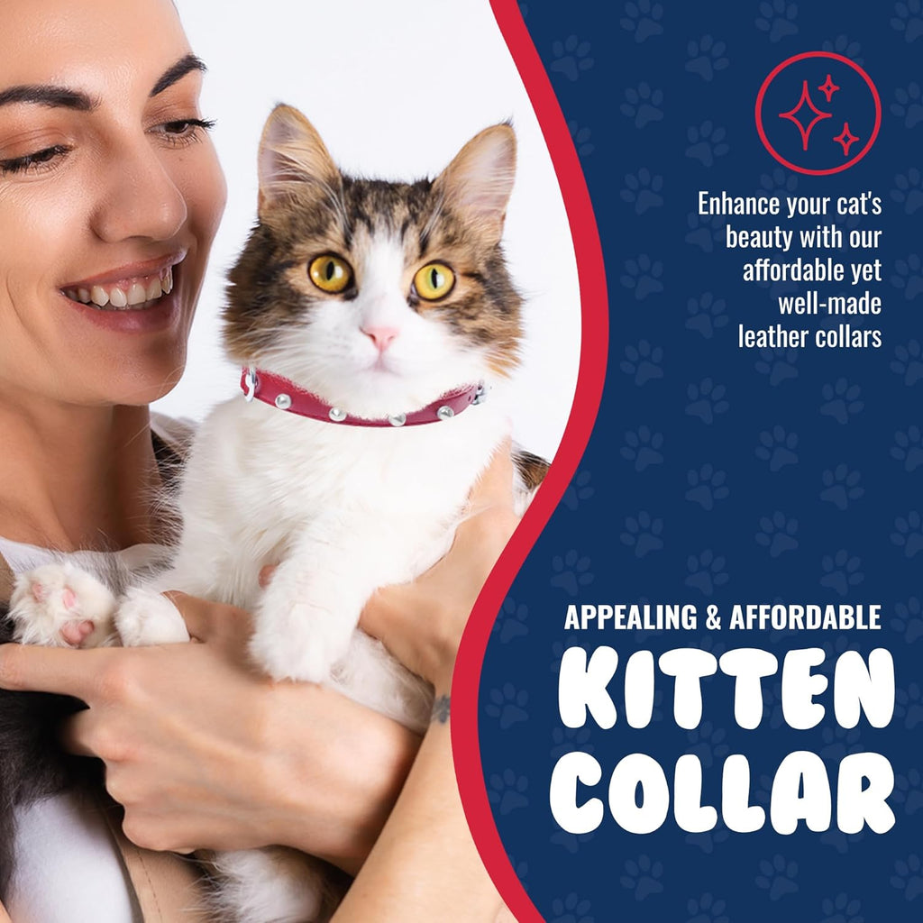 Studded Cat Collar - Genuine Leather Kitten Collar