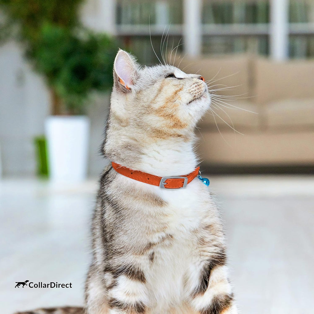 Leather Cat Collar - Cat Safety Collar with Elastic Strap