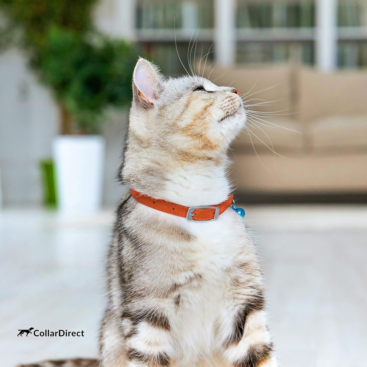 Leather Cat Collar - Cat Safety Collar with Elastic Strap