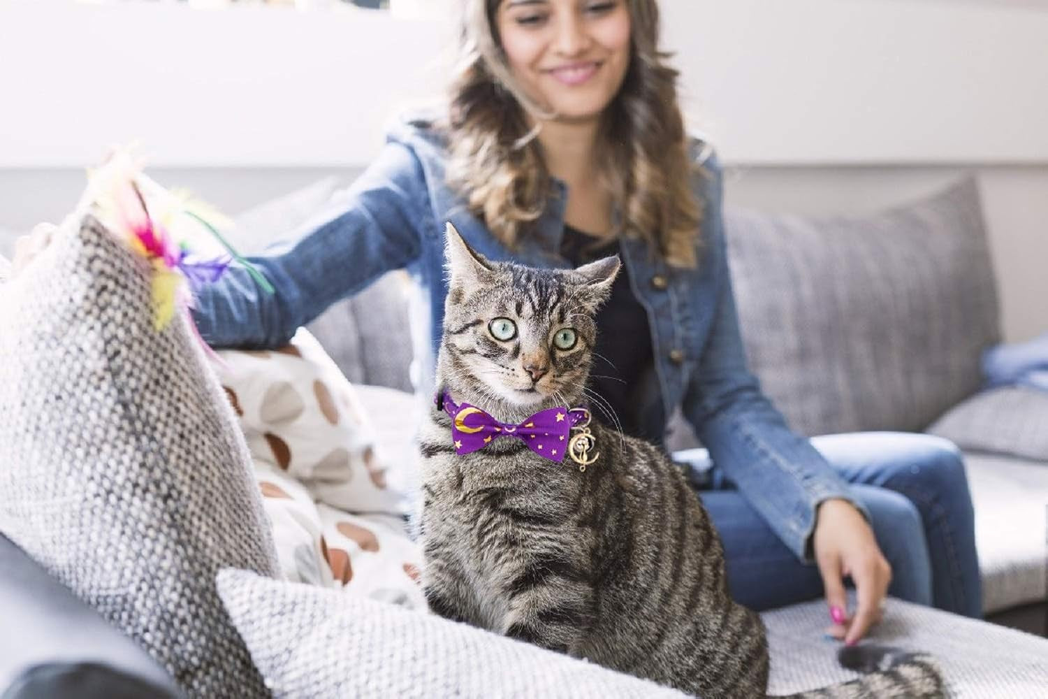 2 PCS Breakaway Cat Collar with Bow Tie
