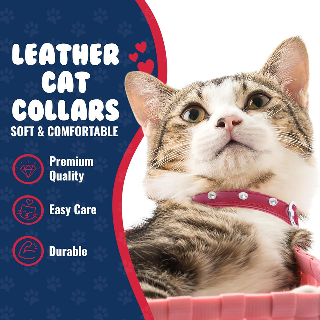 Studded Cat Collar - Genuine Leather Kitten Collar