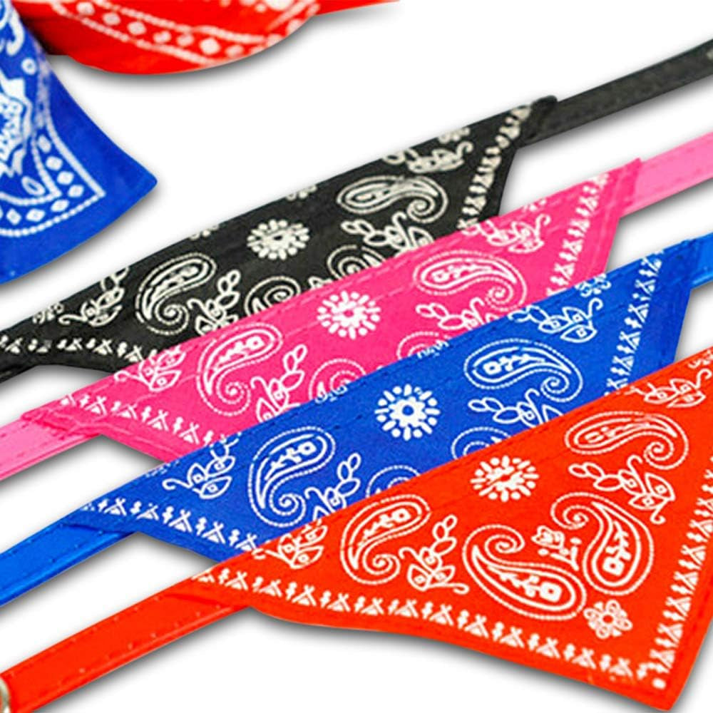 Dog Collar for Small Dogs (Pink)