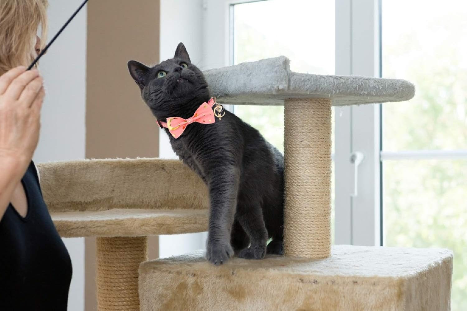 2 PCS Breakaway Cat Collar with Bow Tie and Bell Golden Moon Glowing Star in the Dark for Kitten(Black&Pink)