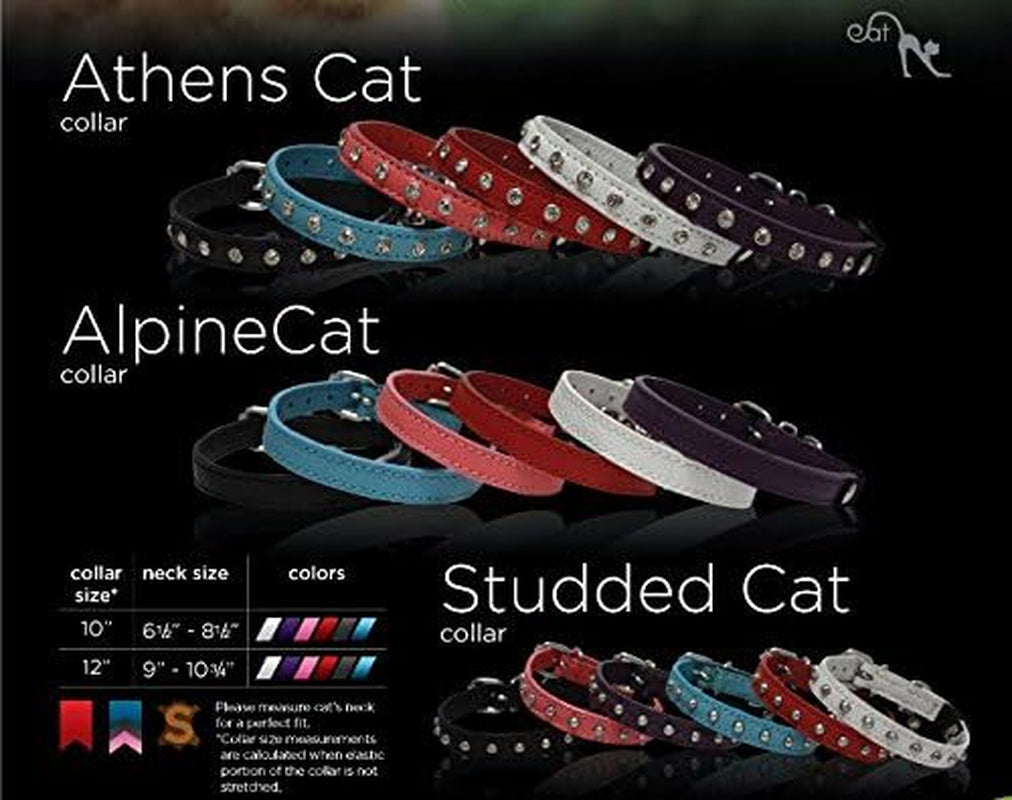 Studded Cat Collar, Genuine Leather Kitten Collar, Sturdy Breakaway Cat Collar with Bell and Elastic Stretch,Cat Accessories, Ivory White, 12 X 1/2 Inches -