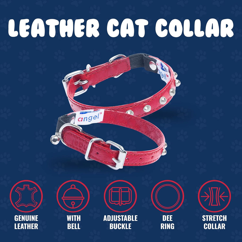 Studded Cat Collar - Genuine Leather Kitten Collar