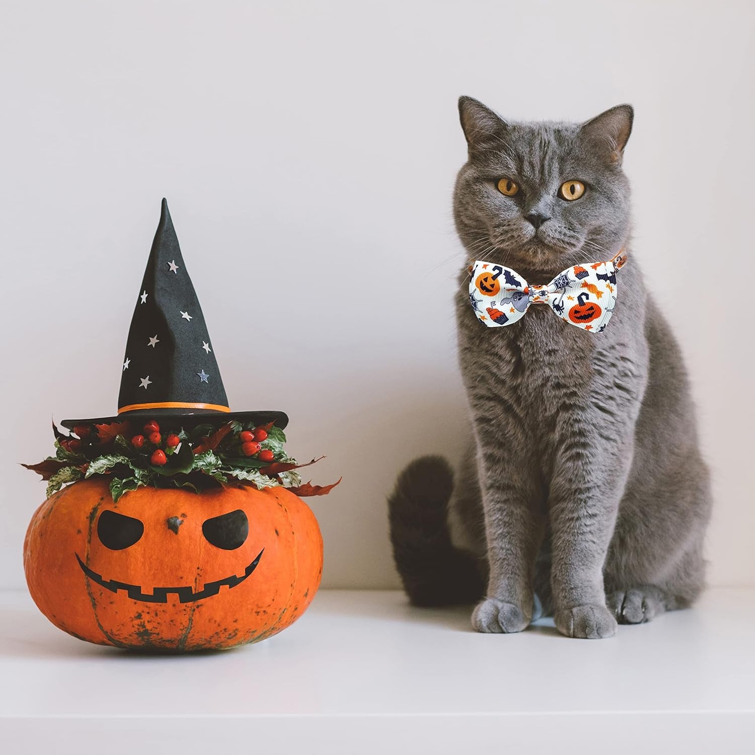 Halloween Cat Collar with Bell - Kitty Kitten Holiday Bow Tie