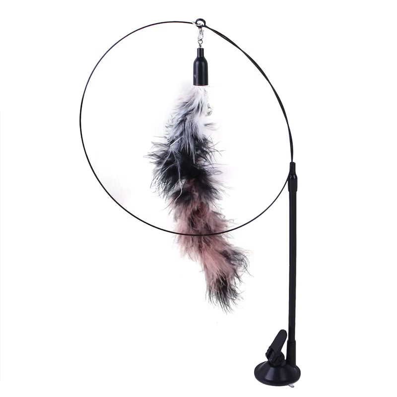 Simulation Bird Interactive Sucker Feather Bird
