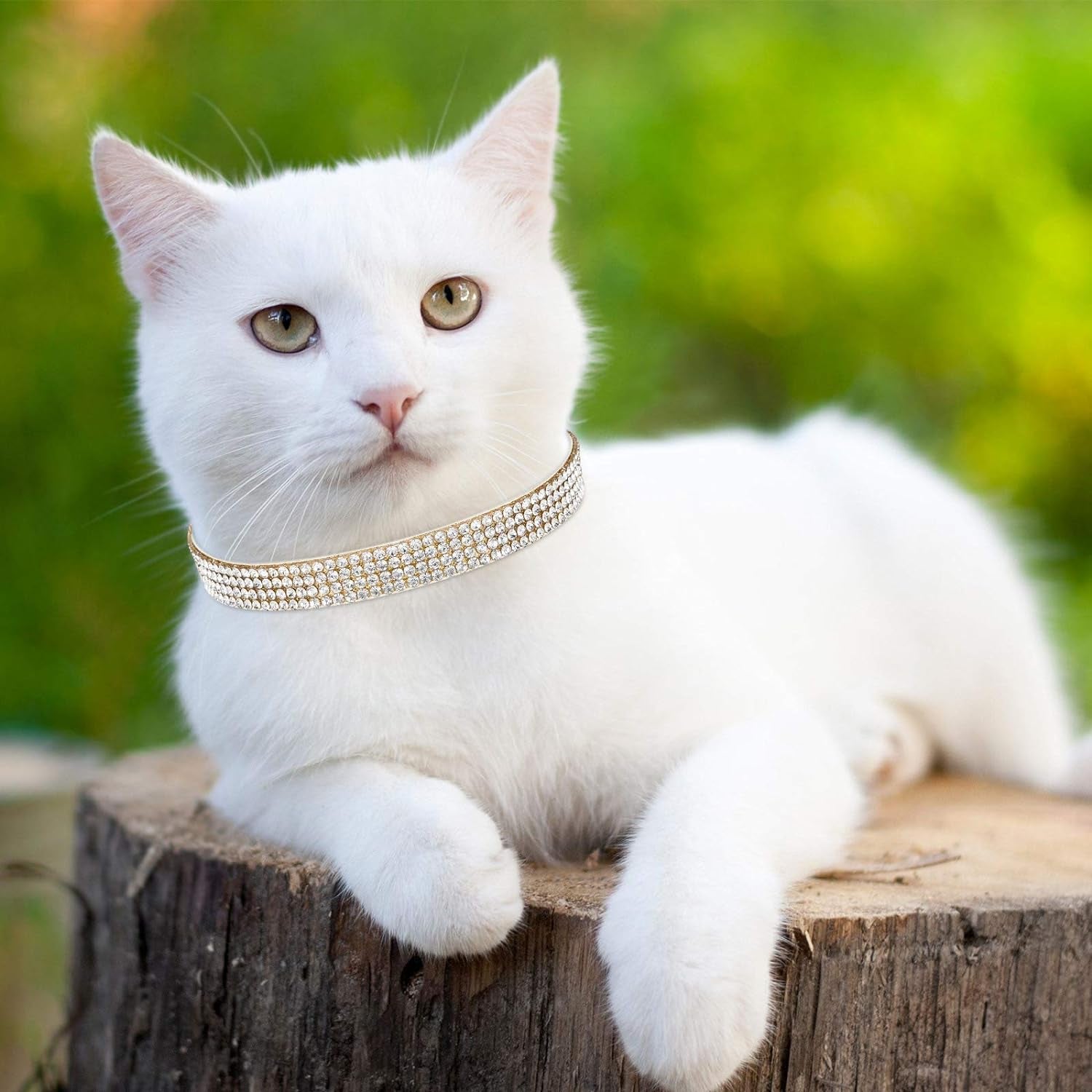 4 Pieces Rhinestones Cat Collars Breakaway Cat Collar