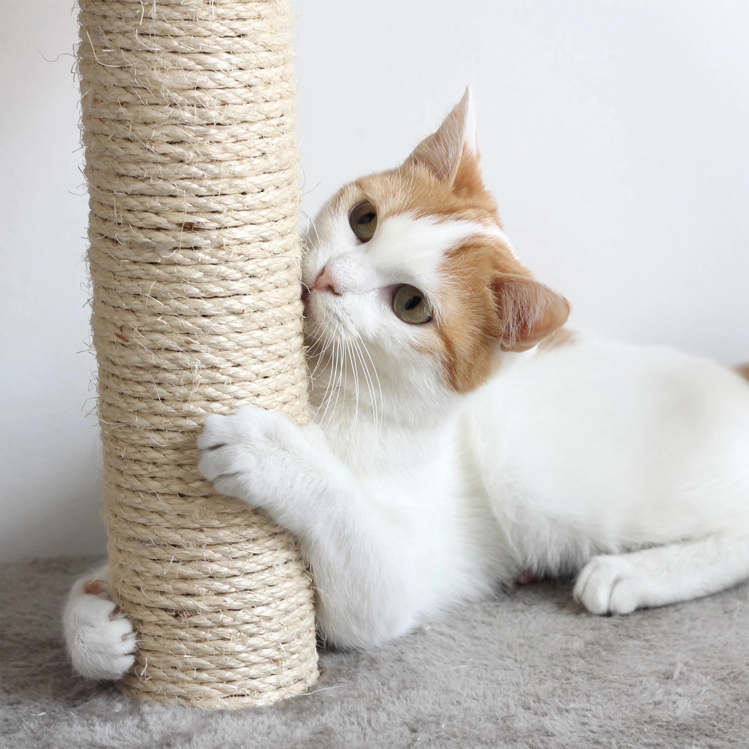 Tall Cat Tree Condo with Perches, Scratch Post, and Wheel Toy