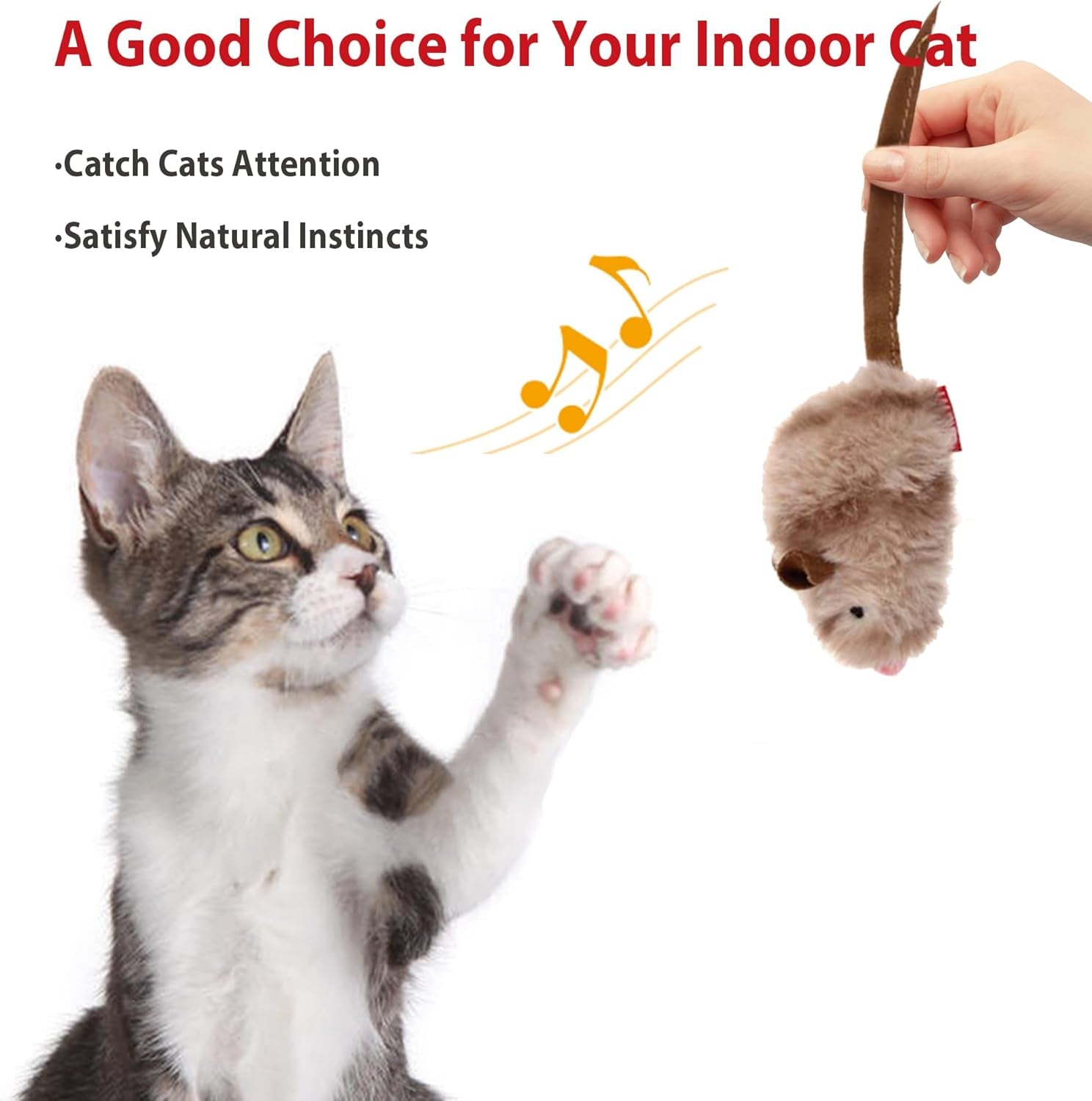 Chirping Bird Cat Toy Set - Interactive Chasing Toy for Indoor Cat